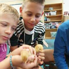 IMG-20250629-WA0026