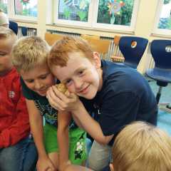 IMG-20250629-WA0029