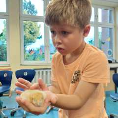 IMG-20250629-WA0030