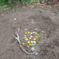 IMG-20250629-WA0032