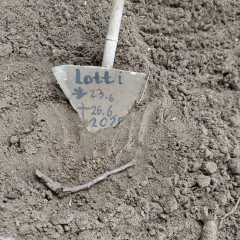 IMG-20250629-WA0033
