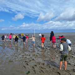 IMG-20260604-WA0003