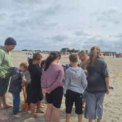 IMG-20260604-WA0036