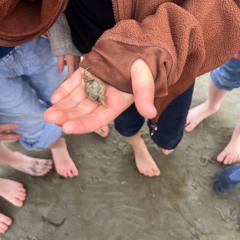 IMG-20260604-WA0081