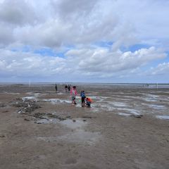 IMG-20260604-WA0153